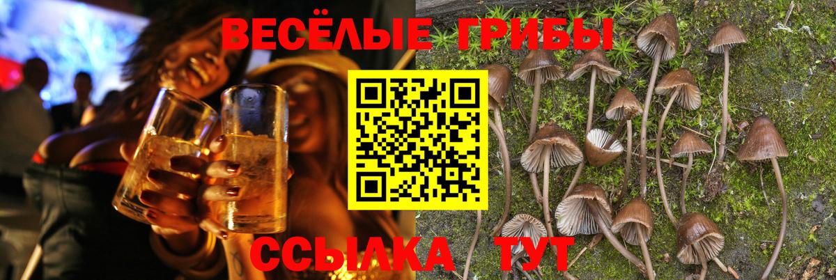 что такое наркотик  Вход с VPN  Псилоцибиновые грибы прущие грибы  Прокопьевск  Псилоцибиновые грибы GOLDEN TEACHER 