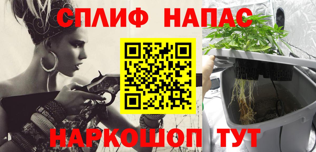 Шишки марихуана марихуана Прокопьевск
